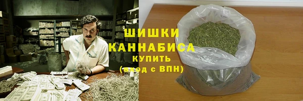 гидра Абаза