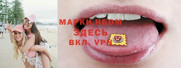 хмурый Алзамай