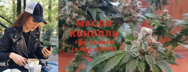 гидра Абаза