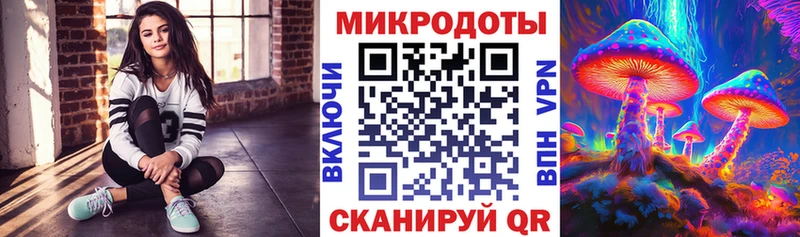 Псилоцибиновые грибы Psilocybine cubensis Протвино