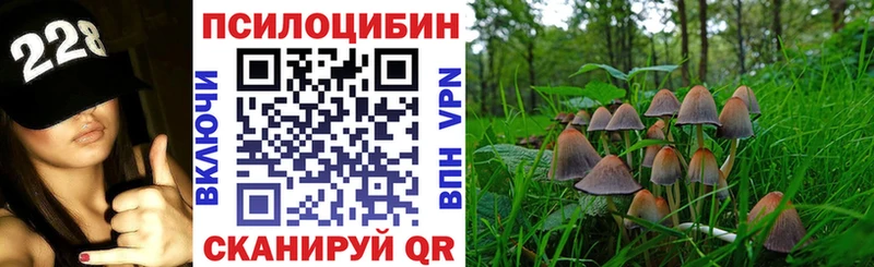 Псилоцибиновые грибы Psilocybe  купить закладку  hydra онион  Протвино 